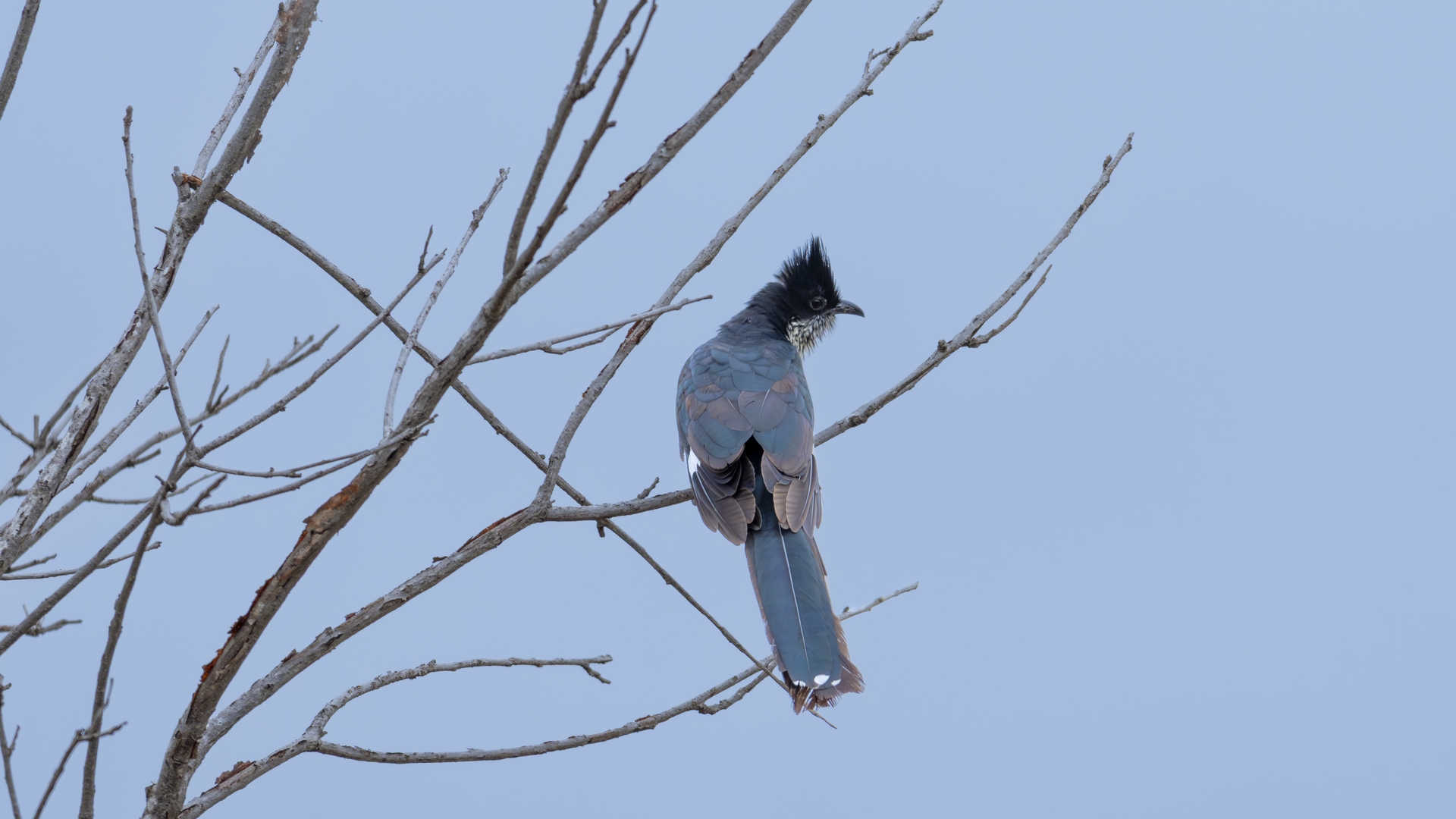 Kruger25 2025 11 03 11 10 33 ILCE 1M2 916